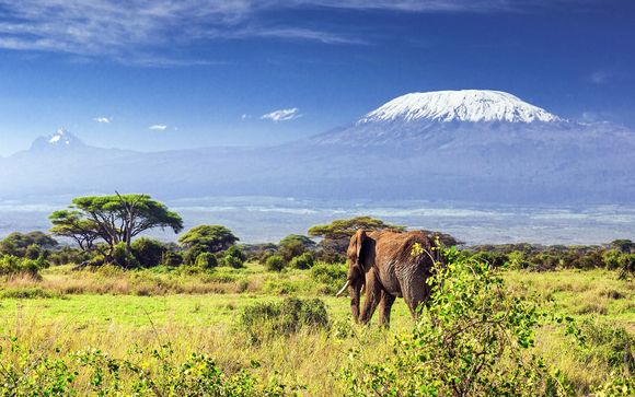 Hôtel Swahili Beach Resort 5* et Safaris