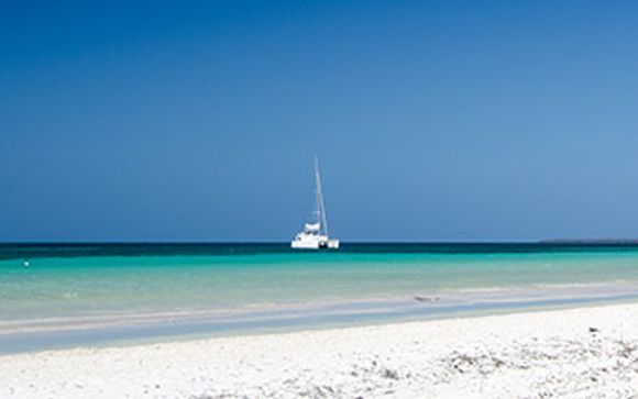 Votre excursion pour plus d