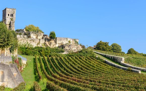 Vos excursions pour plus d