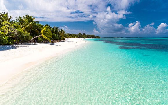 Circuit et Croisière Splendeurs de Floride et des Bahamas