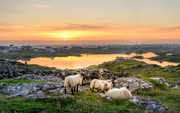 Autotour Highlights of Ireland 7 nuits