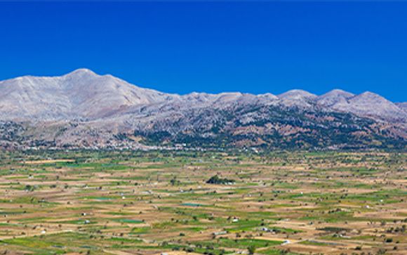 Vos excursions pour plus d