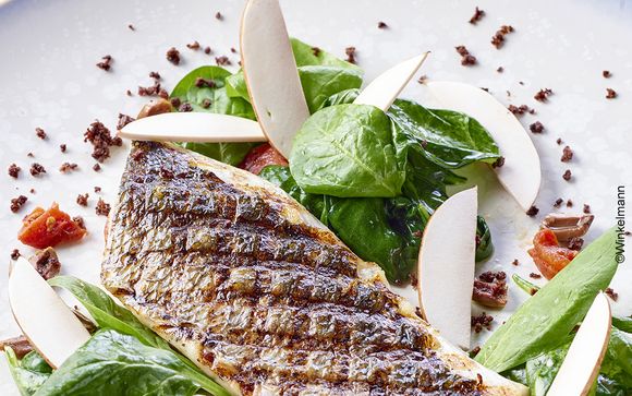 Rencontre avec la cuisine des chefs