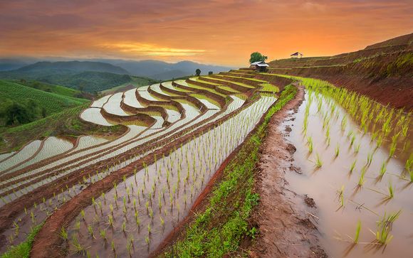 Rendez-vous... aux Philippines