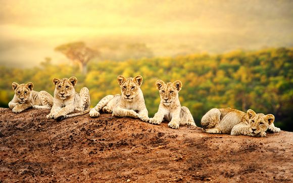Rendez-vous... au Kenya