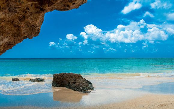 Activités, divertissements et bien-être face à la plage