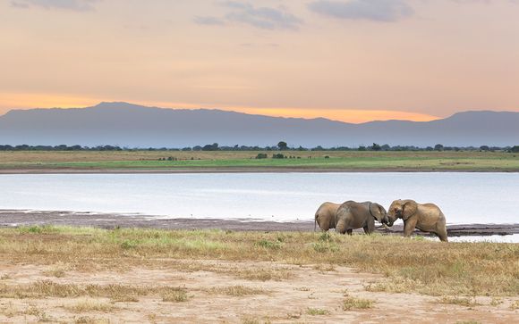 Zoom sur votre safari