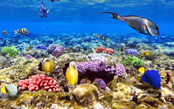 Les découvertes nature