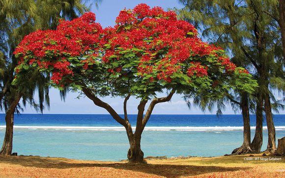 Rendez-vous... sur l'île de La Réunion