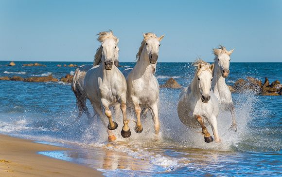 Résidence Les Jasses de Camargue