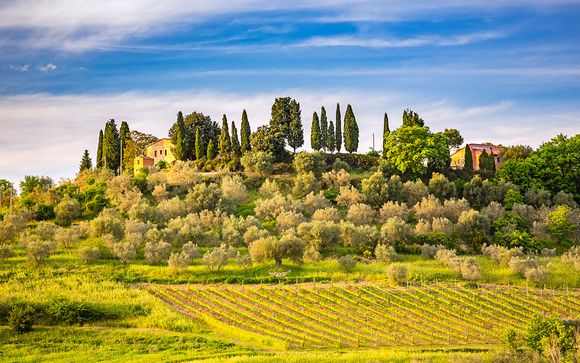 Rendez-vous... dans la région de Chianti