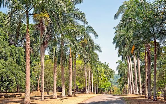 Rendez-vous... au Sri Lanka et aux Maldives