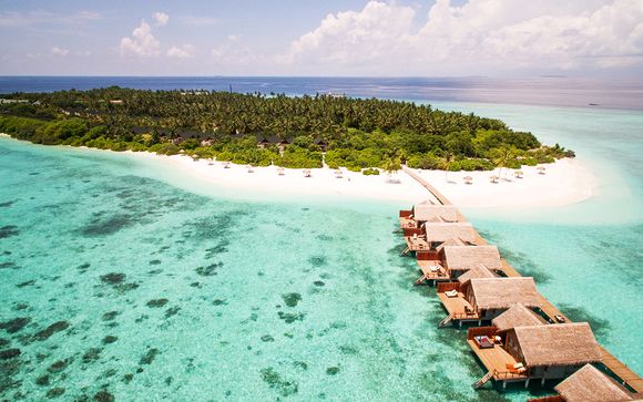 Bienvenue au Paradis, bienvenue chez vous !