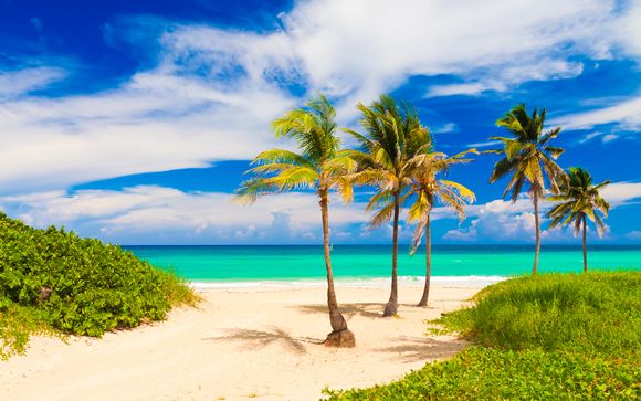 Rendez-vous... à Cuba
