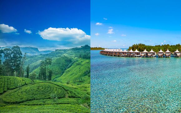 Circuit privatif 4* au Sri Lanka et Paradise Island Maldives 5*