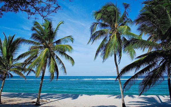 Flamingo Beach Resort & Spa 4* et Safaris
