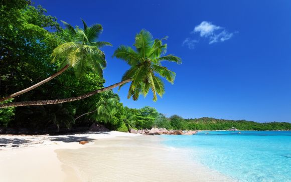 Mettez une option sur l’évasion aux Seychelles