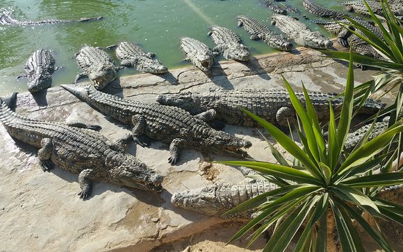 Vos excursions pour plus d