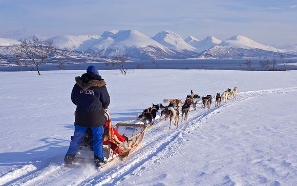 Vos excursions pour plus d