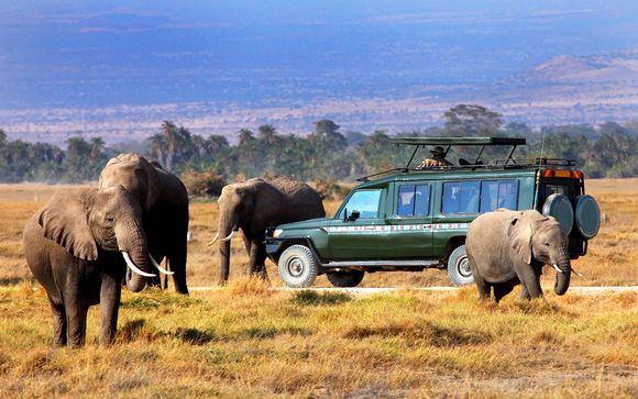 Zoom sur vos safaris