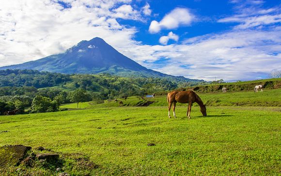 Rendez-vous... au Costa Rica