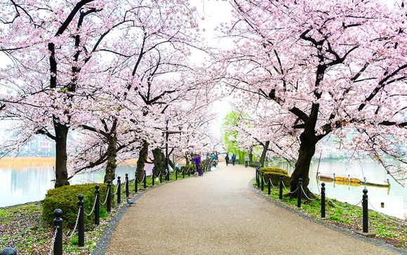 Circuit en liberté, Japon des traditions - 8 ou 10 nuits - 3* ou 4*