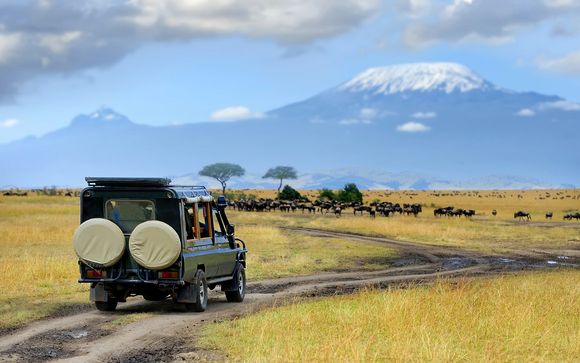 Safari de Masai Mara à l'océan Indien avec Qatar Airways