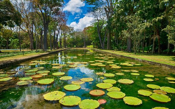 Vos excursions pour plus d