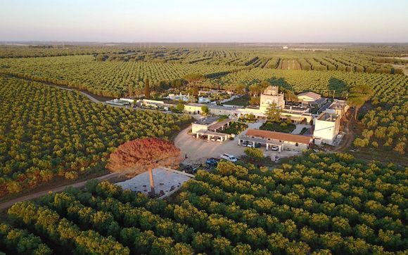 Agriturismo Tenuta Mazzetta