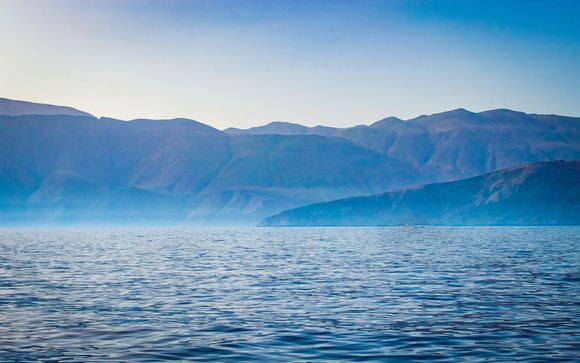 Vos excursions pour plus d