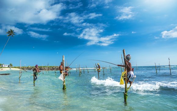 Rendez-vous... au Sri Lanka