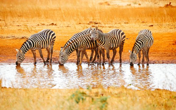 Rendez-vous... au Kenya
