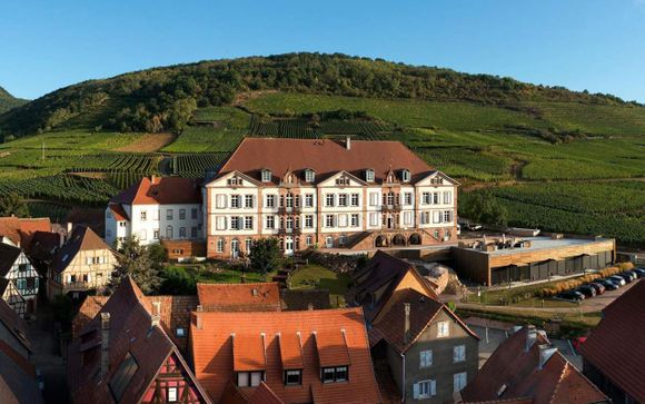 Échappée authentique et vue sur les vignobles
