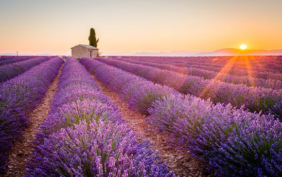 Rendez-vous... en Provence