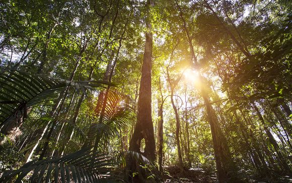 Mettez une option sur l’évasion à Cairns