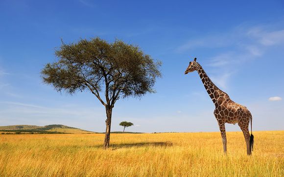 Circuit Splendeurs de la Tanzanie et extension possible