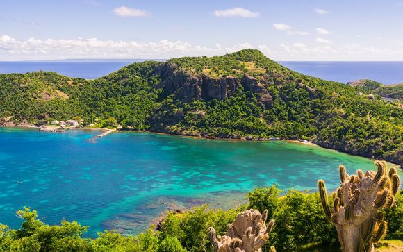 Votre excursion pour plus d