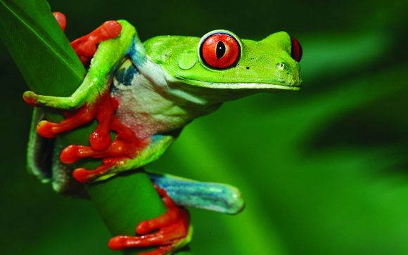 Nos petites astuces pour un séjour idéal