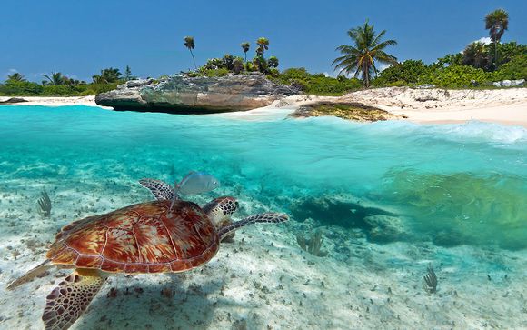 Rendez-vous... à Riviera Maya