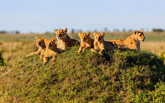 Suivez-nous... au Kenya 