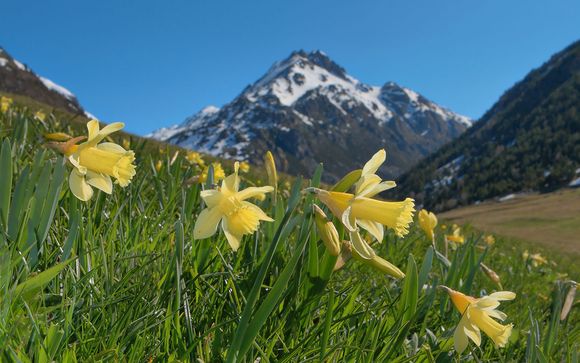 Rendez-vous... en Andorre