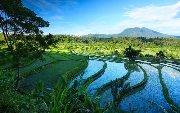 Combiné de 4* et 5* à Ubud, Lombok et Bali