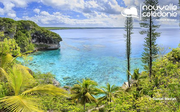 Virée paradisiaque et escale effervescente
