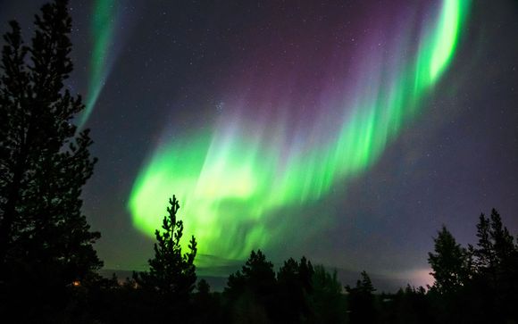 Le tappe del vostro itinerario 