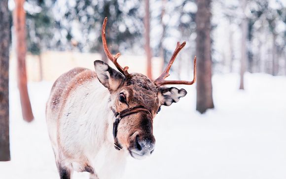 Le tappe del vostro itinerario