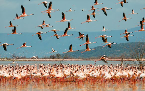 Le tappe del vostro itinerario