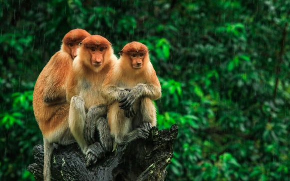 Le tappe del vostro itinerario