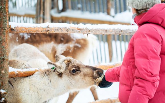 Attività incluse per i soggiorni in autunno (dal 01/10/25 al 23/11/25)