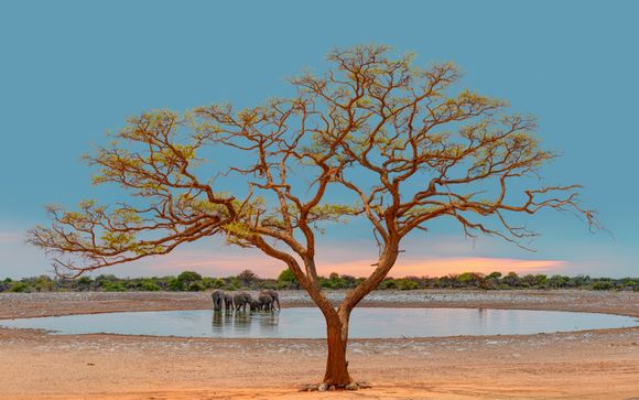 Le tappe del vostro itinerario