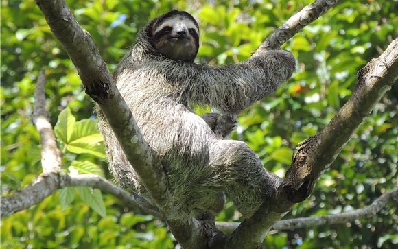 Il vostro itinerario 